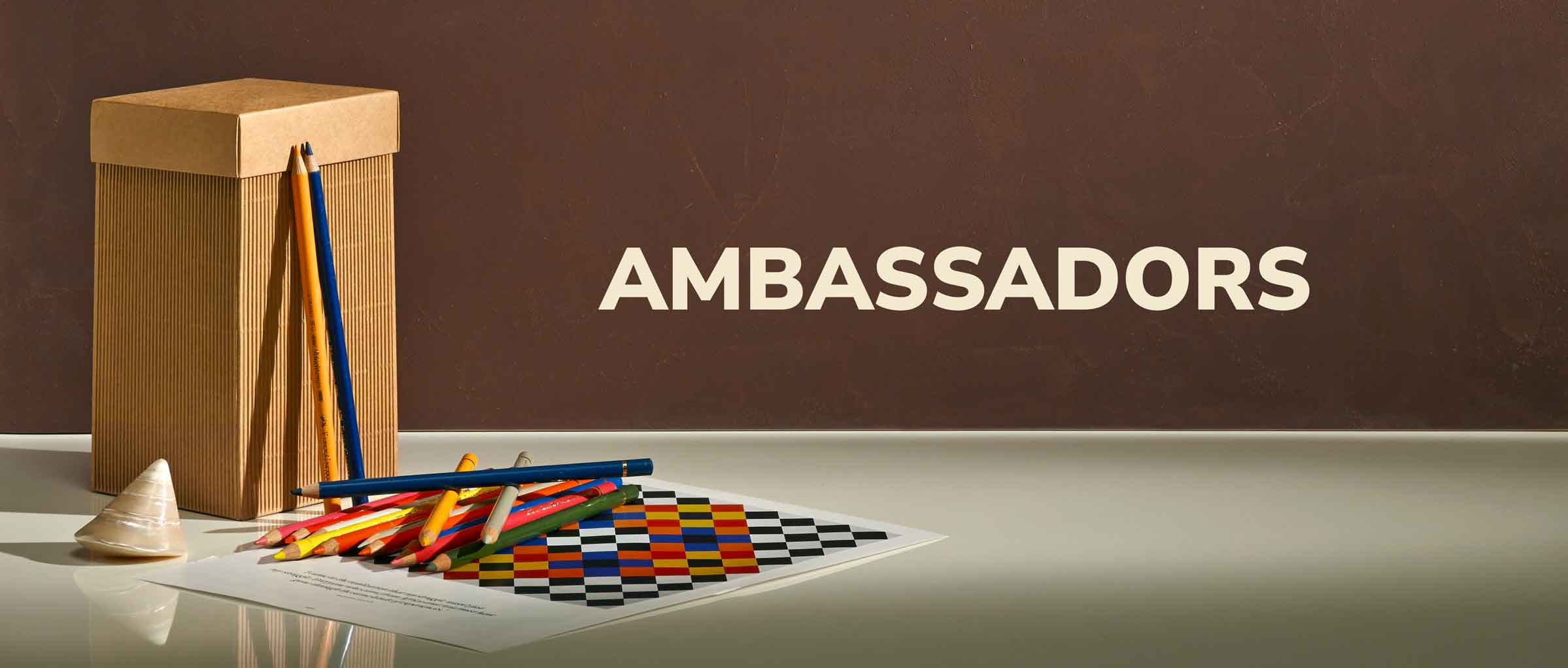 Ambassadors